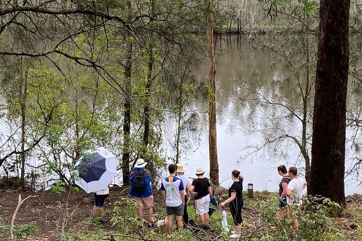 Fishermans Paradise Eco-walk: Guided Nature Walk at Lake Conjola photo 3