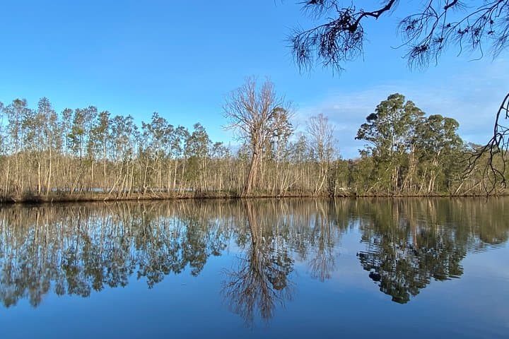 Fishermans Paradise Eco-walk: Guided Nature Walk at Lake Conjola photo 6