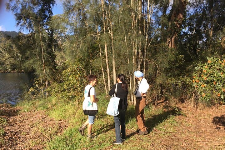 Fishermans Paradise Eco-walk: Guided Nature Walk at Lake Conjola photo 4