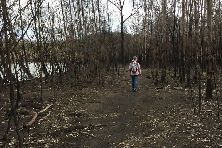 Fishermans Paradise Eco-walk: Guided Nature Walk at Lake Conjola photo 5