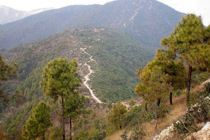 Champadevi Day Hike from Kathmandu — Private Guided Summit Walk photo 3