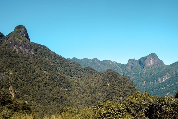 Two-Day Nuwara Eliya & Horton Plains Tour from Colombo photo 4