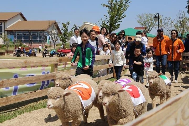 Anseong Farmland & Gwangmyeong Cave: Full-Day Private Tour from Seoul