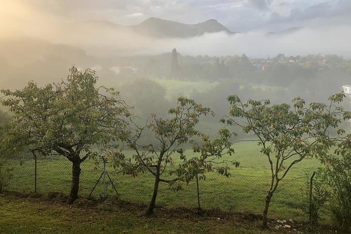Walk the Old Rail to Las Caldas: Spa, Lunch and History near Oviedo photo 4