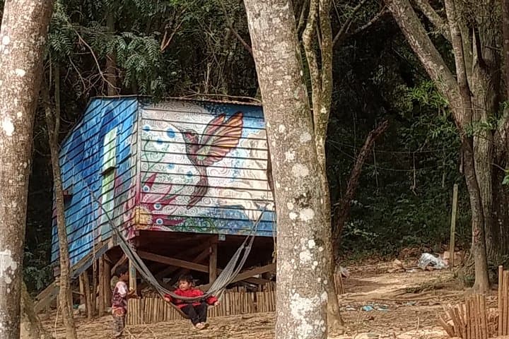 Jaraguá Peak & Guarani Cultural Visit — São Paulo Forest Walk and Viewpoint photo 5