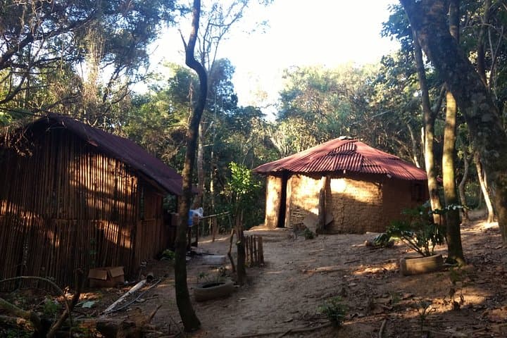 Jaraguá Peak & Guarani Cultural Visit — São Paulo Forest Walk and Viewpoint photo 3