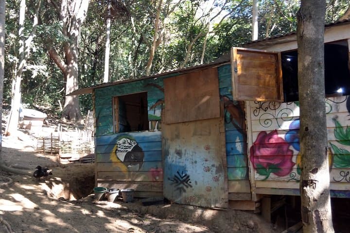 Jaraguá Peak & Guarani Cultural Visit — São Paulo Forest Walk and Viewpoint photo 4
