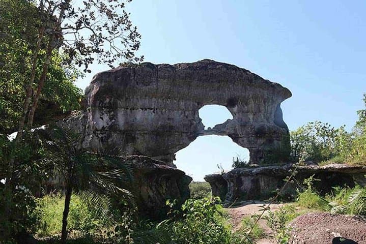 4-Day El Guaviare Rock Paintings and Amazon Jungle Expedition photo 4