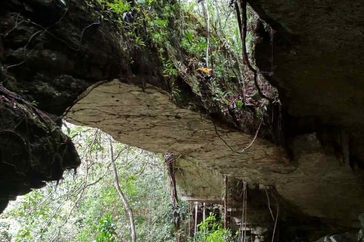 4-Day El Guaviare Rock Paintings and Amazon Jungle Expedition photo 6