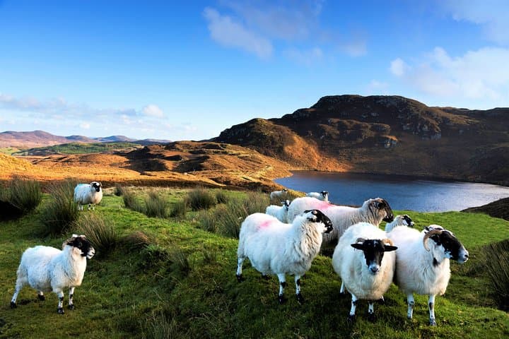 Connemara Castles Day Tour from Galway: Kylemore, Aughnanure & Clifden photo 4