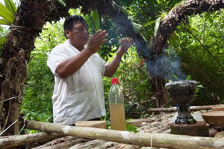 Private Punta Laguna Monkey Sanctuary Zip Line Tour from Playa del Carmen photo 3