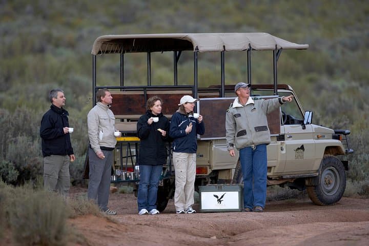 Private Big Five Safari at Aquila Game Reserve — Day Trip from Cape Town