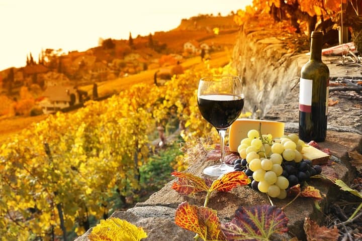 Truffle and Brunello VIP Day Trip to Montisi & Montalcino from Rome photo 1