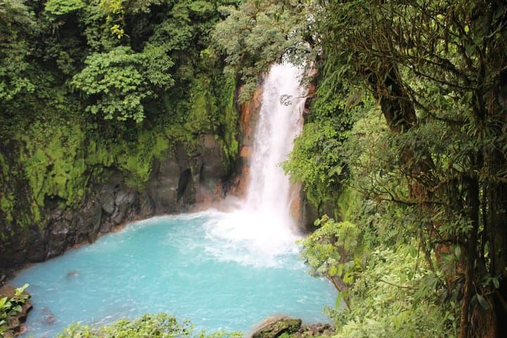 Hike Rio Celeste: Guided Walk in Tenorio Volcano National Park