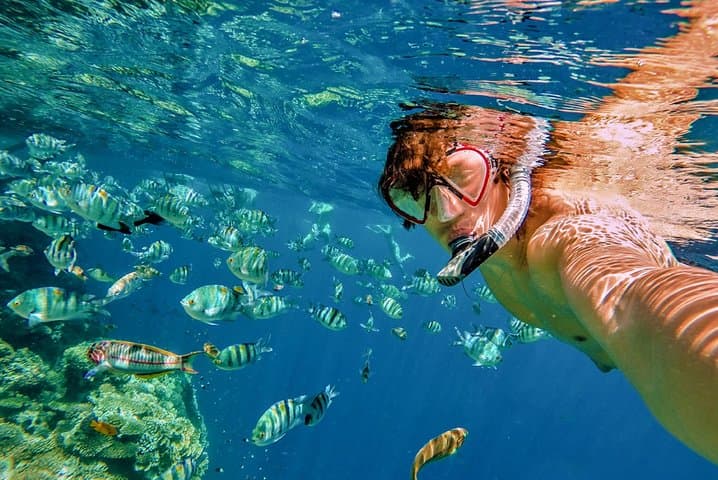 Cabo Beaches Hopper: Snorkel El Arco, Santa Maria & Chileno photo 2