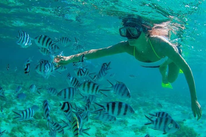 Cabo Beaches Hopper: Snorkel El Arco, Santa Maria & Chileno photo 3