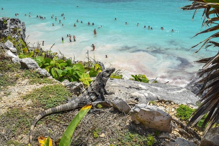 Tulum Ruins Zipline, Underground Cenote & Buffet Adventure photo 4