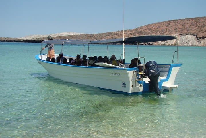 La Paz Day Tour from Cabo: Scenic Drive, Malecón & Todos Santos Stop photo 4