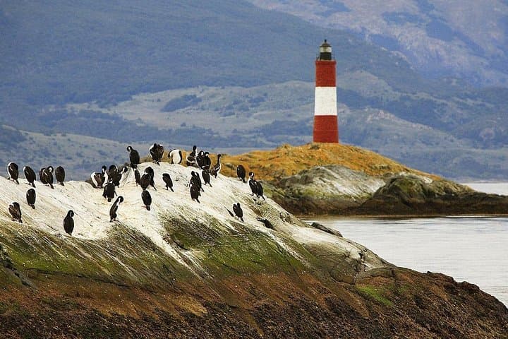 Sail the Beagle Channel on a Catamaran: Wildlife & Les Eclaireurs Lighthouse Cruise photo 6