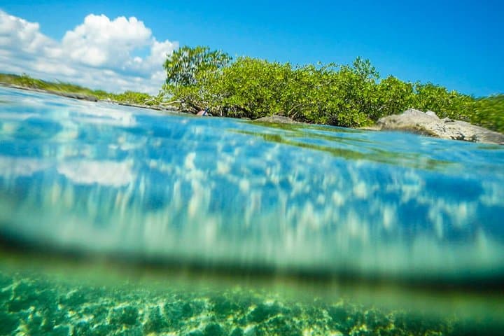 Yalku Lagoon and Open Cenote: Snorkel Akumal's Sacred Waters photo 6