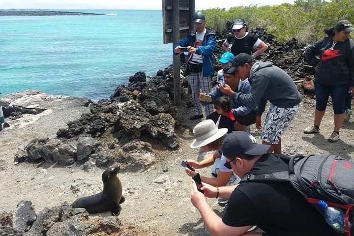 Isabela Island 3-Day Adventure: Lava Tunnels, Tintoreras & Sierra Negra photo 3