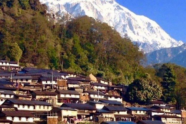 3-Day Sikles Trek to Kopuche Glacial Lake from Pokhara photo 4