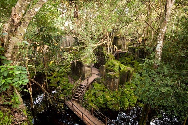 Beng Mealea Ruined Temple Discovery — Jungle Excursion from Siem Reap photo 3
