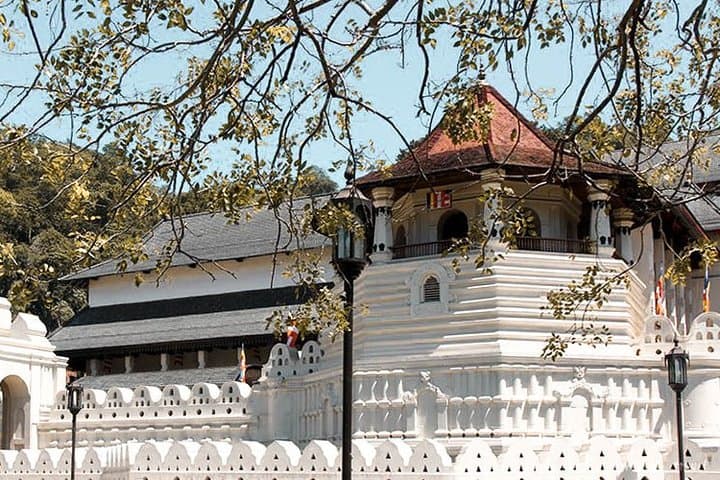 Escape to Paradise: 11-Day Sri Lanka Cultural & Wildlife Circuit photo 4