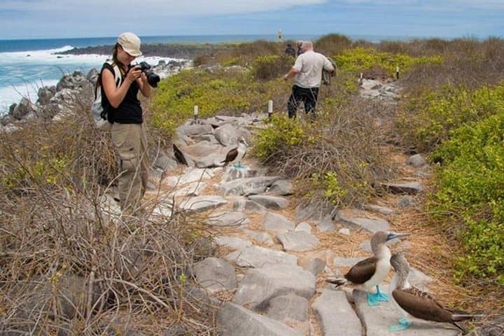 Full-Day North Seymour & Las Bachas: Galápagos Wildlife Cruise from Puerto Ayora photo 3