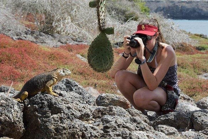 Plazas Islands & Punta Carrión: Full-Day Snorkel and Land-Iguana Walk from Puerto Ayora photo 1