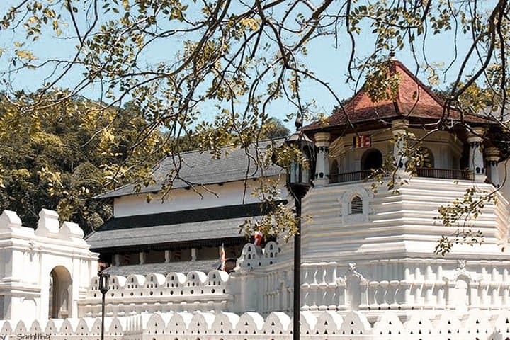 Buddhist Pilgrimage Through Sri Lanka: 12-Day Cultural & Wildlife Journey photo 3