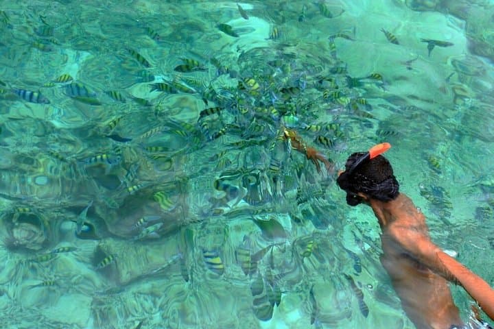 Blu Anda Catamaran Phi Phi Day Cruise from Phuket — Snorkeling, Beaches & Maya Bay photo 4