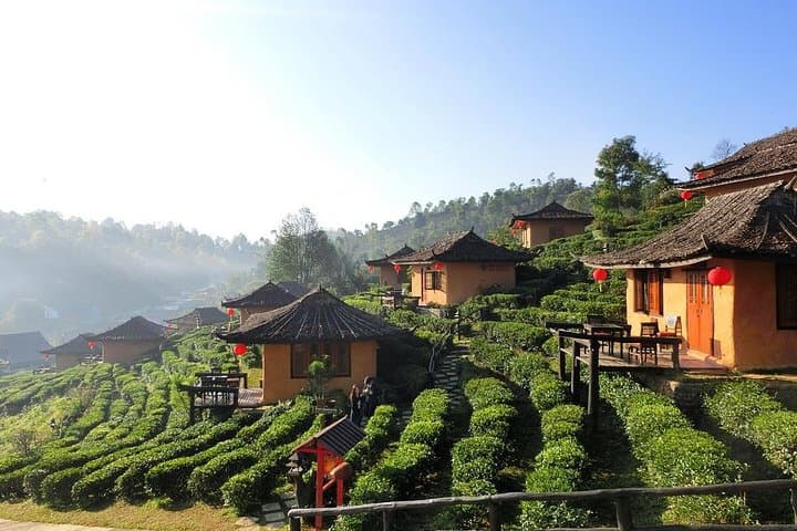 5-Day Chiang Mai: Doi Suthep, Sanctuary Natura Camp & Doi Inthanon Adventure photo 4