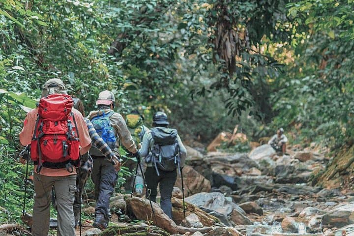 Sri Lanka Motorhome Birdwatching: 15-Day Endemic & Migratory Tour photo 4