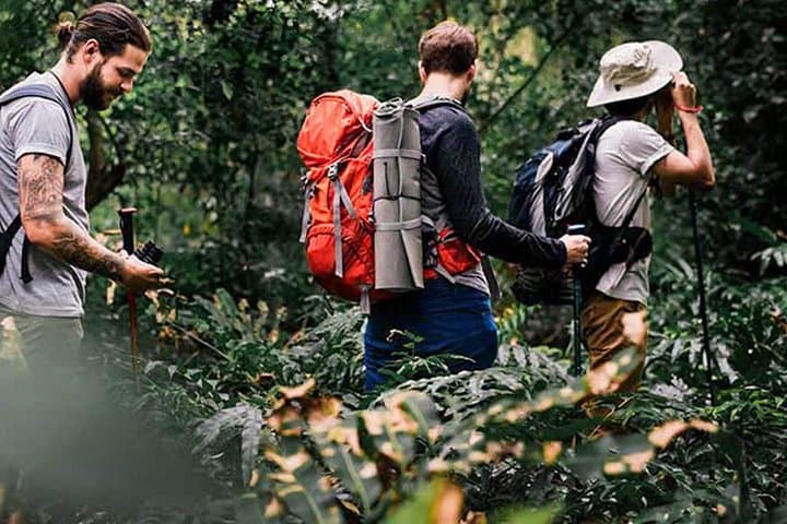 Sri Lanka Motorhome Birdwatching: 15-Day Endemic & Migratory Tour photo 6