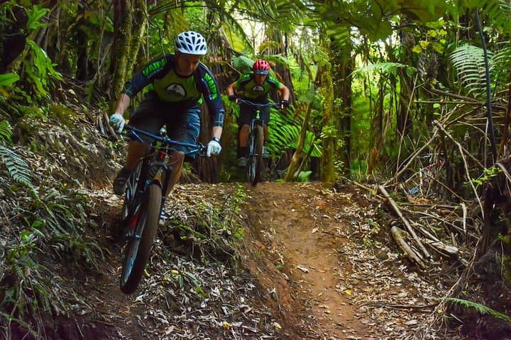 Urban Jungle Trail: Cycling the Forgotten Kingdom of Kotte from Mount Lavinia photo 6