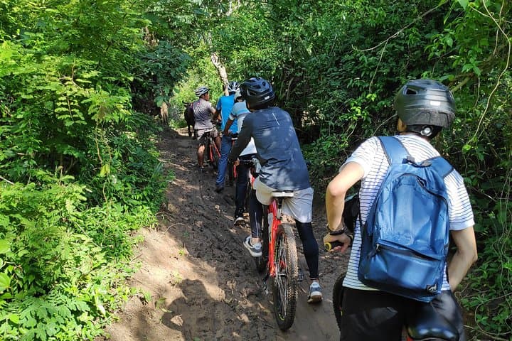 Siem Reap Village Cycling Tour — Private Half-Day Ride Through Rice Fields