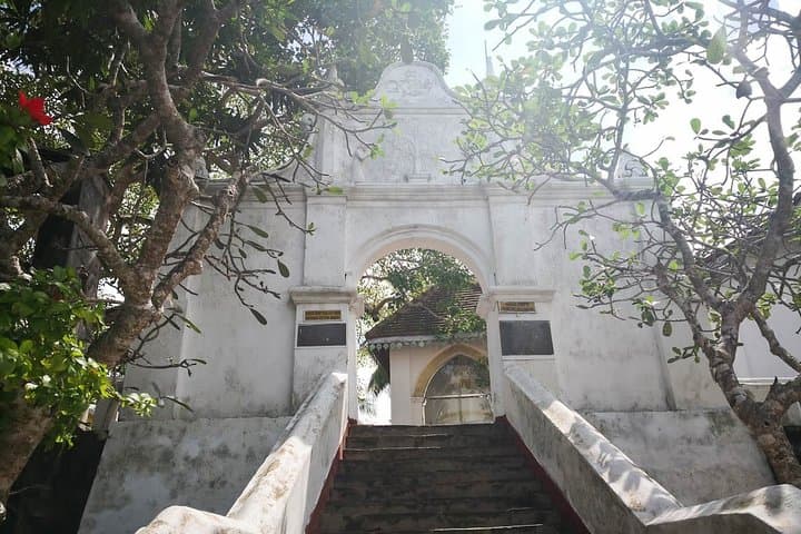 Southern Coast Highlights from Mount Lavinia — Galle Fort, Tea & Coastal Culture photo 5