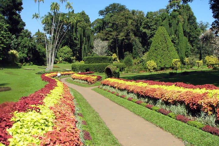 Ceylon Backpacker Tour: 3N/4D Trekking Alagalla, Village Trails & Kandy Temples photo 5