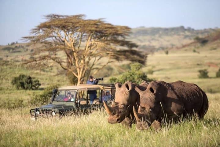 3-Day Drakensberg & Tala Game Reserve Safari from Durban: Giants, Game Drives & Mandela Site photo 2