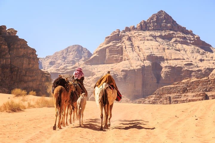 From Aqaba to the Red Rose: Private Full-Day Petra and Wadi Rum Tour photo 6