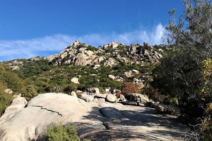 Mountain-to-Sea 4x4: Baronia Off-Road Adventure from Orosei photo 2
