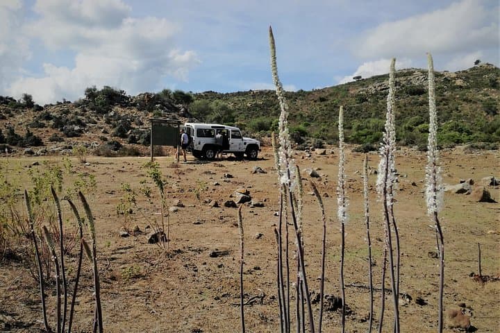 Mountain-to-Sea 4x4: Baronia Off-Road Adventure from Orosei photo 3
