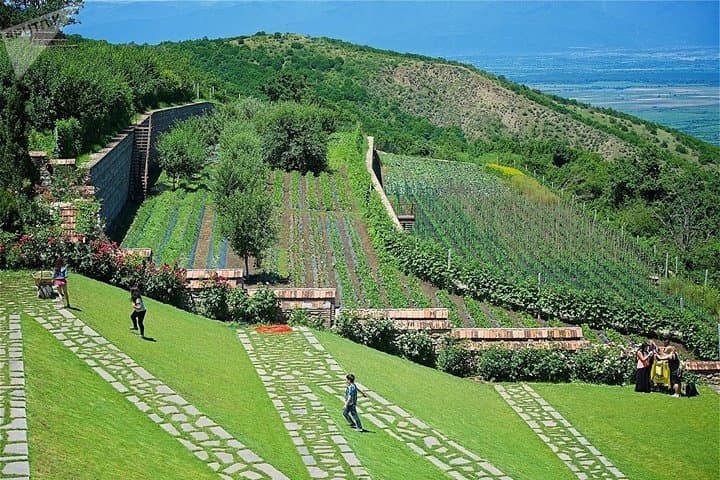 Kakheti Wine & Culture Day Tour — Signagi, Bodbe Monastery and Telavi Explained photo 5