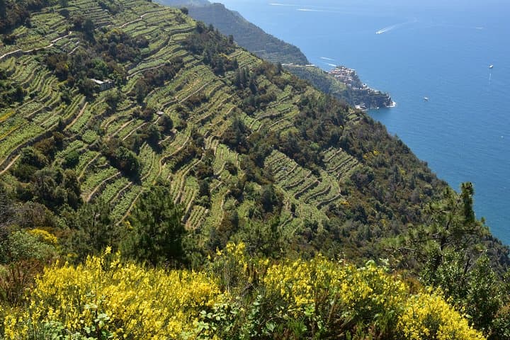 Montecatini to Portovenere & Cinque Terre: Private Day Trip photo 3