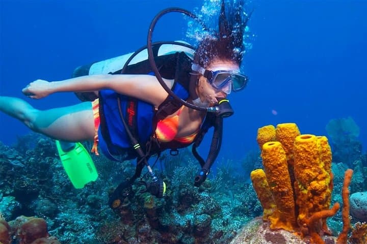 Scuba Diving from Mount Lavinia: Colombo’s City-Edge Reefs & Two-Dive Boat Trips photo 4