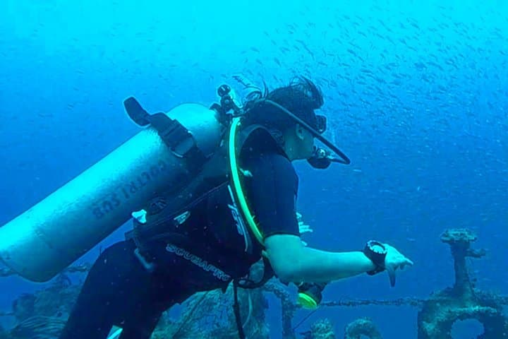 Scuba Diving from Mount Lavinia: Colombo’s City-Edge Reefs & Two-Dive Boat Trips photo 6