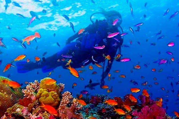 Scuba Diving from Mount Lavinia: Colombo’s City-Edge Reefs & Two-Dive Boat Trips photo 5