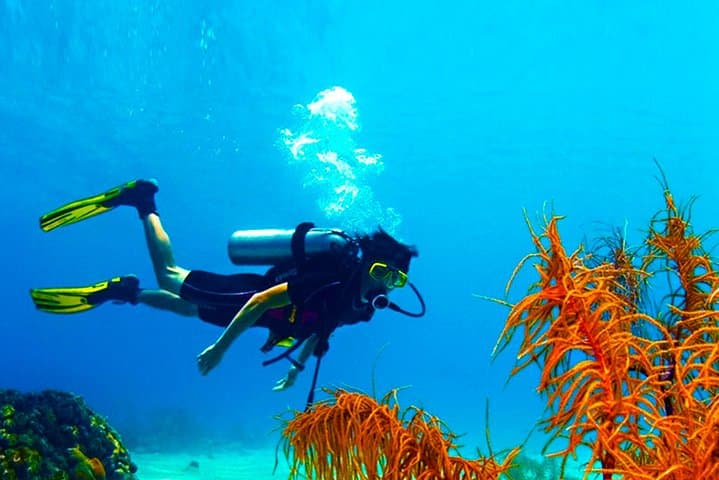 Scuba Diving from Mount Lavinia: Colombo’s City-Edge Reefs & Two-Dive Boat Trips photo 3