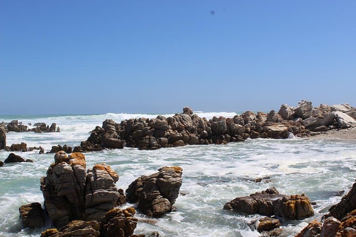 Cape Agulhas Day Trip from Cape Town: Southernmost Point, Coastal Views & Fresh Fish photo 6